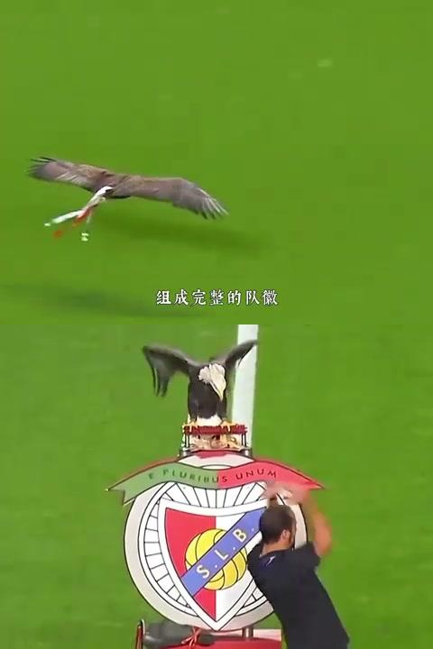 热门足球比赛带来激动人心的瞬间 热门足球比赛带来激动人心的瞬间