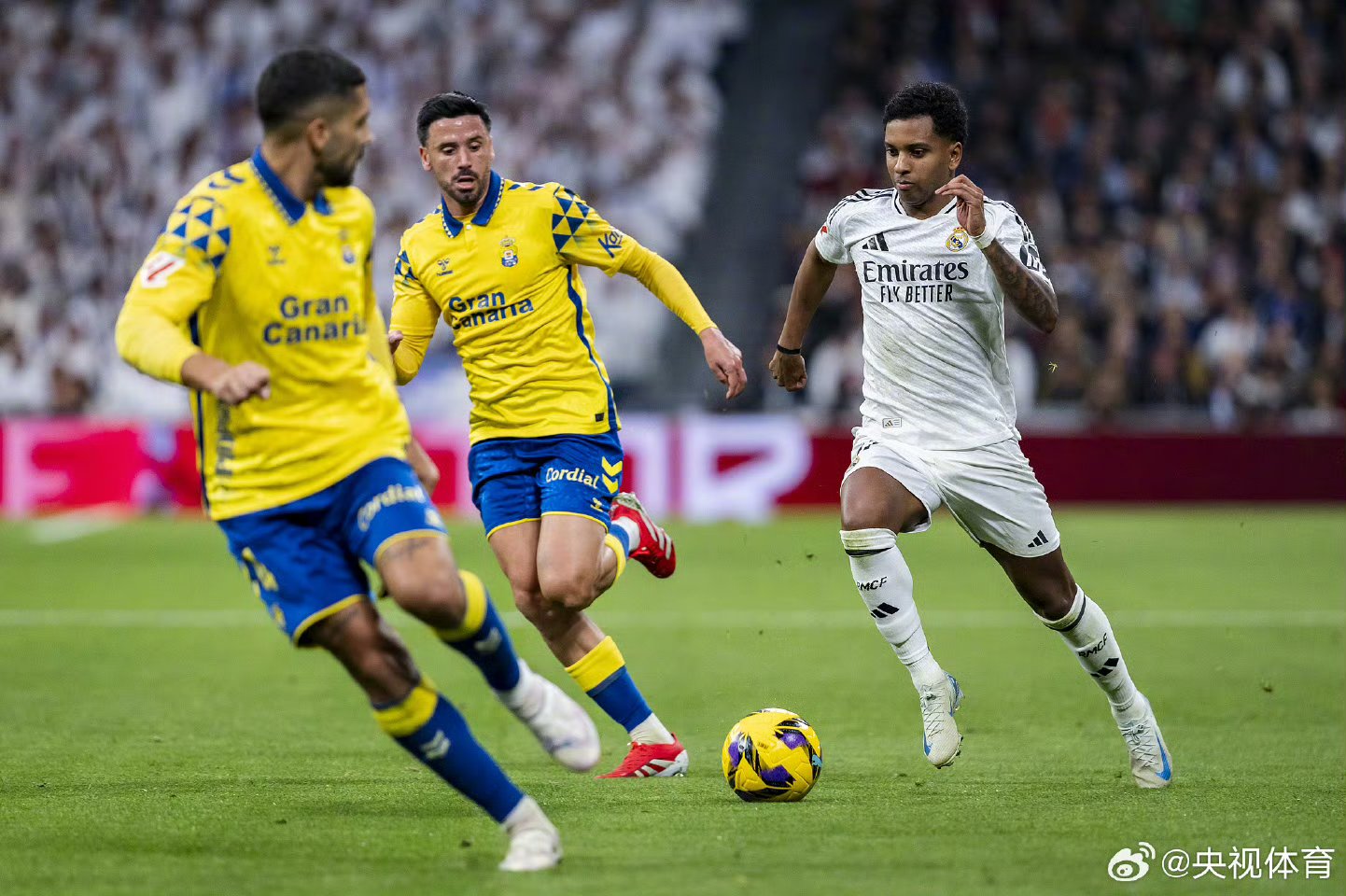 帕尔马0-2不敌尤文，积分争夺中落后的简单介绍