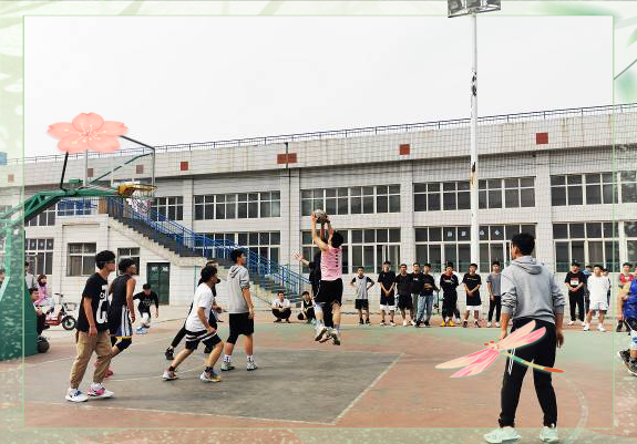 新生球员崭露头角，助力球队前进的简单介绍