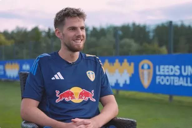 霍芬海姆击败对手，展示升班实力的简单介绍