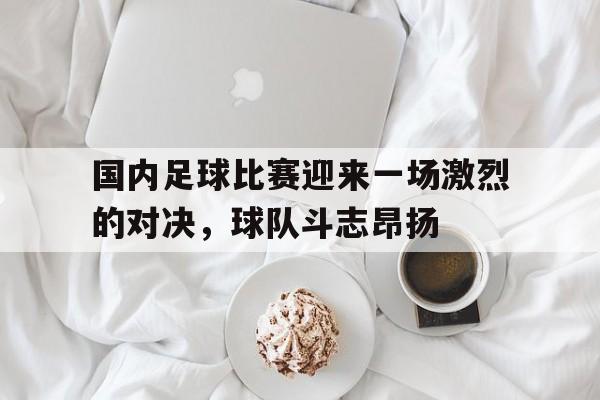 关于国内足球比赛迎来一场激烈的对决，球队斗志昂扬的信息