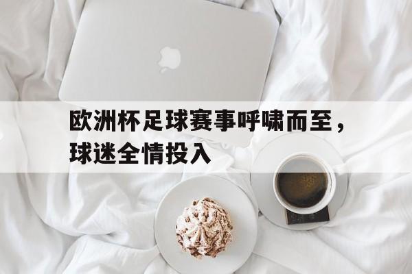 欧洲杯足球赛事呼啸而至，球迷全情投入